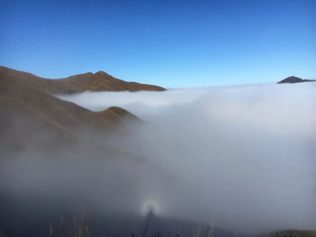 包含哈台克豪照，海与光子体球的奇妙邂逅的词条