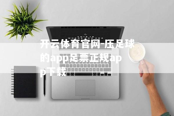 开云体育官网-压足球的app足票正规app下载